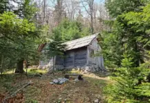 Eco-Friendly Shed Base – Best 3 Tips Shed Base